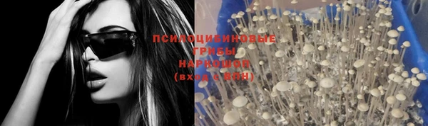 бошки Снежинск