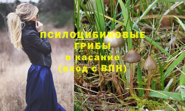 тгк Снежногорск